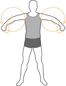 forearm circles